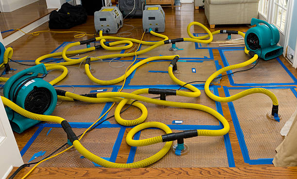 Professional Crawl Space Water Removal technician working in Park City, UT